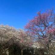 ヒメ日記 2025/02/11 13:21 投稿 さと 渋谷 風俗 奥様発情の会