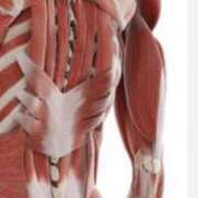 ヒメ日記 2025/02/14 16:08 投稿 さと 渋谷 風俗 奥様発情の会