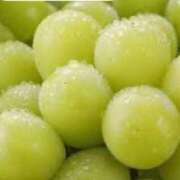 ヒメ日記 2025/02/25 11:14 投稿 さと 渋谷 風俗 奥様発情の会