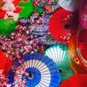 ヒメ日記 2025/03/18 12:55 投稿 さと 渋谷 風俗 奥様発情の会