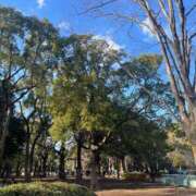 ヒメ日記 2025/03/23 14:15 投稿 さと 渋谷 風俗 奥様発情の会