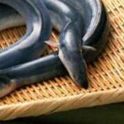 ヒメ日記 2025/03/25 12:53 投稿 さと 渋谷 風俗 奥様発情の会