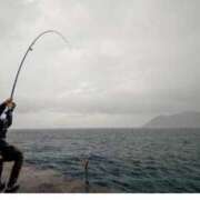 ヒメ日記 2025/04/07 09:01 投稿 さと 渋谷 風俗 奥様発情の会