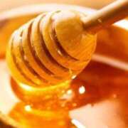 ヒメ日記 2025/04/09 19:02 投稿 さと 渋谷 風俗 奥様発情の会