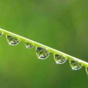 ヒメ日記 2025/05/08 13:01 投稿 さと 渋谷 風俗 奥様発情の会