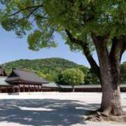 ヒメ日記 2025/05/20 14:47 投稿 さと 渋谷 風俗 奥様発情の会