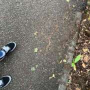 ヒメ日記 2025/05/26 11:44 投稿 さと 渋谷 風俗 奥様発情の会