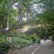 ヒメ日記 2025/06/15 13:01 投稿 さと 渋谷 風俗 奥様発情の会