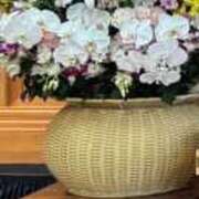 ヒメ日記 2025/06/30 21:04 投稿 さと 渋谷 風俗 奥様発情の会