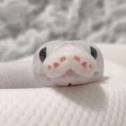 ヒメ日記 2025/07/23 17:57 投稿 さと 渋谷 風俗 奥様発情の会