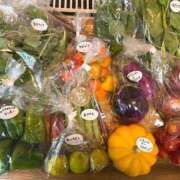 ヒメ日記 2025/08/24 07:58 投稿 さと 渋谷 風俗 奥様発情の会