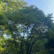 ヒメ日記 2025/08/27 23:25 投稿 さと 渋谷 風俗 奥様発情の会