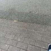 ヒメ日記 2025/09/02 06:45 投稿 さと 渋谷 風俗 奥様発情の会