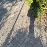 ヒメ日記 2025/09/23 08:33 投稿 さと 渋谷 風俗 奥様発情の会