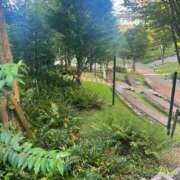 ヒメ日記 2025/09/24 06:42 投稿 さと 渋谷 風俗 奥様発情の会