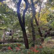 ヒメ日記 2025/10/13 12:04 投稿 さと 渋谷 風俗 奥様発情の会