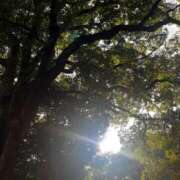 ヒメ日記 2025/10/14 08:41 投稿 さと 渋谷 風俗 奥様発情の会