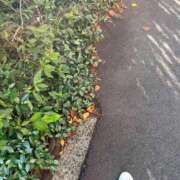 ヒメ日記 2025/10/23 07:01 投稿 さと 渋谷 風俗 奥様発情の会