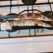 ヒメ日記 2025/11/03 13:37 投稿 さと 渋谷 風俗 奥様発情の会