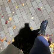 ヒメ日記 2025/11/20 18:02 投稿 さと 渋谷 風俗 奥様発情の会