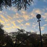 ヒメ日記 2025/11/27 07:16 投稿 さと 渋谷 風俗 奥様発情の会