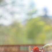 ヒメ日記 2026/01/08 11:56 投稿 さと 渋谷 風俗 奥様発情の会