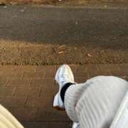 ヒメ日記 2026/01/28 09:33 投稿 さと 渋谷 風俗 奥様発情の会