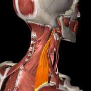 ヒメ日記 2026/03/19 18:14 投稿 さと 渋谷 風俗 奥様発情の会
