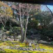 ヒメ日記 2026/03/25 21:45 投稿 さと 渋谷 風俗 奥様発情の会