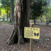 ヒメ日記 2026/04/12 20:41 投稿 さと 渋谷 風俗 奥様発情の会