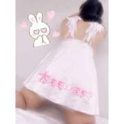 ヒメ日記 2025/11/14 23:59 投稿 さら 白いぽっちゃりさん五反田店