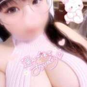 ヒメ日記 2025/12/27 17:29 投稿 さら 白いぽっちゃりさん五反田店