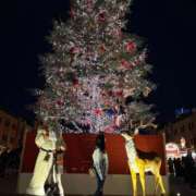 ヒメ日記 2024/12/24 15:36 投稿 しのぶ 丸妻 横浜本店