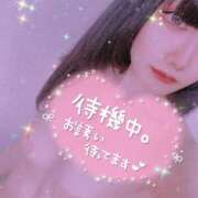 ヒメ日記 2025/02/23 12:12 投稿 しのぶ 丸妻 横浜本店