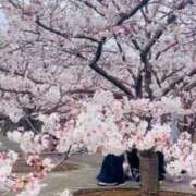 ヒメ日記 2025/04/19 18:01 投稿 まい 西船橋ときめき女学園