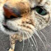 ヒメ日記 2025/06/19 17:01 投稿 まい 西船橋ときめき女学園