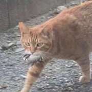 ヒメ日記 2025/06/27 07:30 投稿 まい 西船橋ときめき女学園