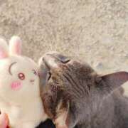 ヒメ日記 2025/09/09 18:01 投稿 まい 西船橋ときめき女学園