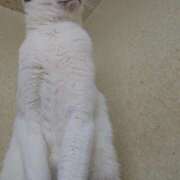 ヒメ日記 2025/11/03 18:02 投稿 まい 西船橋ときめき女学園