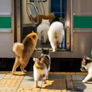 ヒメ日記 2025/09/12 16:30 投稿 ふゆみ ふぞろいの人妻たち