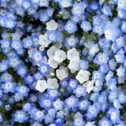 ヒメ日記 2025/10/04 12:50 投稿 ふゆみ ふぞろいの人妻たち