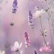 ヒメ日記 2025/10/18 13:10 投稿 ふゆみ ふぞろいの人妻たち