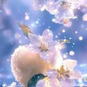 ヒメ日記 2026/01/16 23:20 投稿 ふゆみ ふぞろいの人妻たち