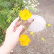 ヒメ日記 2026/01/17 11:00 投稿 ふゆみ ふぞろいの人妻たち