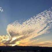 ヒメ日記 2026/02/17 22:30 投稿 ふゆみ ふぞろいの人妻たち