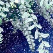 ふゆみ 次回の出勤は ふぞろいの人妻たち