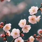 ヒメ日記 2026/03/03 08:10 投稿 ふゆみ ふぞろいの人妻たち