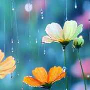 ヒメ日記 2026/03/03 23:30 投稿 ふゆみ ふぞろいの人妻たち