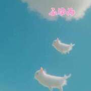 ヒメ日記 2026/04/08 16:30 投稿 ふゆみ ふぞろいの人妻たち