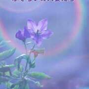 ヒメ日記 2026/04/09 12:01 投稿 ふゆみ ふぞろいの人妻たち